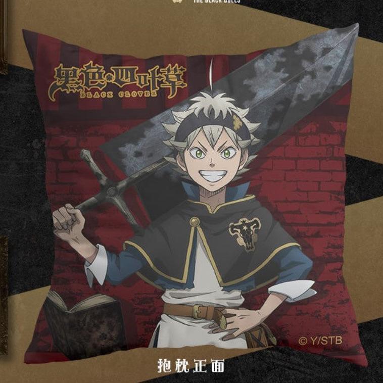 asta cozy cushion